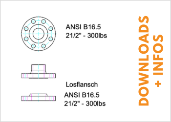 ANSI Flansche B16.5 300lbs Vorschweissflansche PN 16