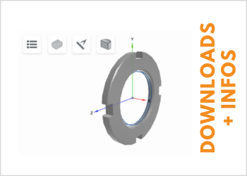 3D-Modell eines Geweinderings zum Download