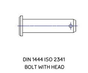 DIN 1444 ISO 2341 BOLT WIT HEAD