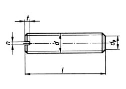 din_551.JPG