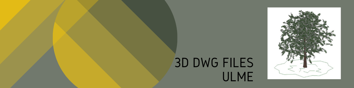 3D-DWG Ulme