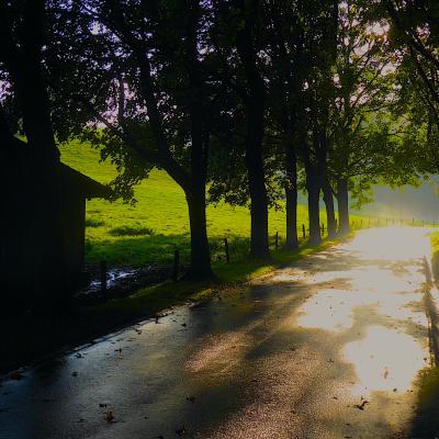 Herbst 03