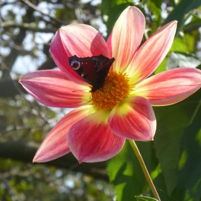 Herbst 2021 01