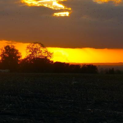 Abendrot 10 2021